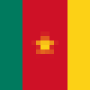 flag_of_cameroon.png