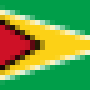flag_of_guyana.png