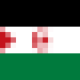 flag_of_the_sahrawi_arab_democratic_republic.png