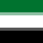 flag_of_the_united_arab_emirates.png